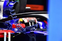 Pierre Gasly, Scuderia Toro Rosso STR12