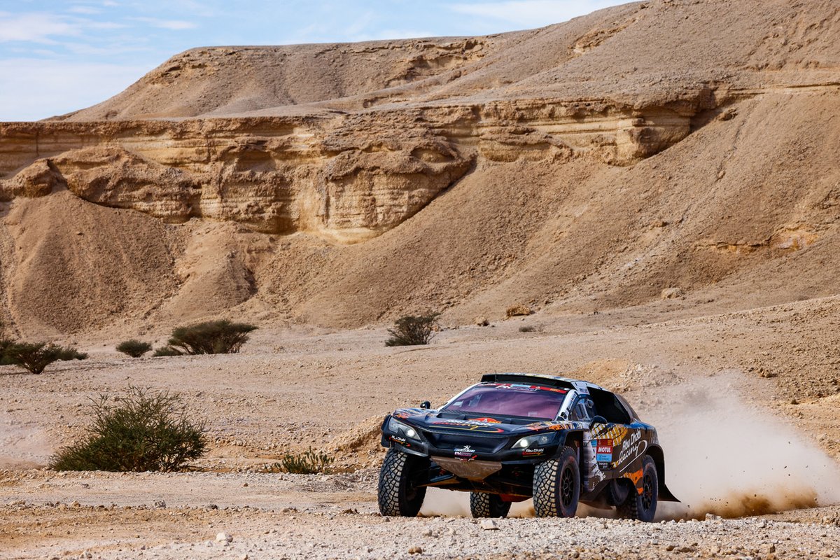 #206 Abu Dhabi Racing Peugeot: Sheikh Khalid Al Qassimi, Dirk Von Zitzewitz