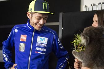Valentino Rossi, Yamaha Factory Racing, Koala bear