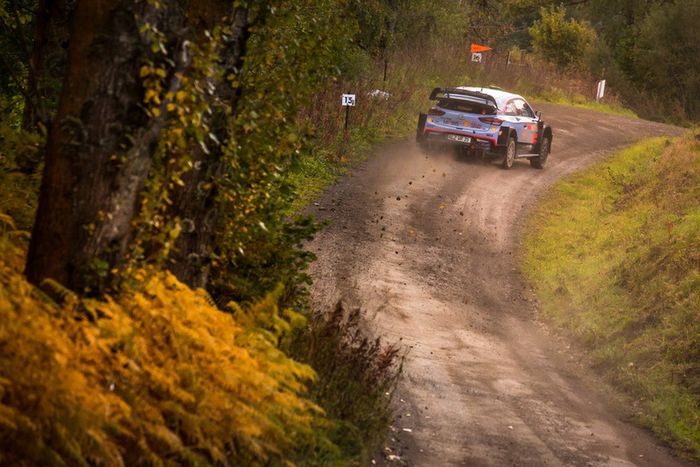 Thierry Neuville, Nicolas Gilsoul, Hyundai Motorsport Hyundai i20 Coupe WRC