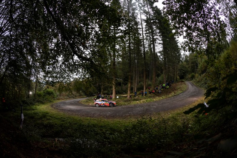 Thierry Neuville, Nicolas Gilsoul, Hyundai Motorsport Hyundai i20 Coupe WRC