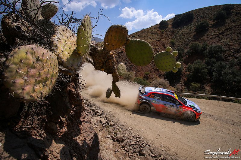 Rally Mexico 2020