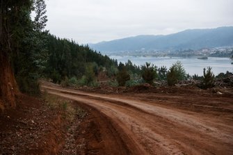 Road overview