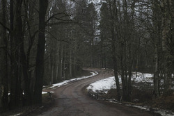 Part of the rally route