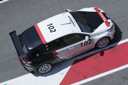 Andrea Farina, Peugeot 308 Racing Cup