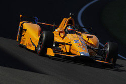 Fernando Alonso, Andretti Autosport Honda