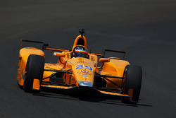 Fernando Alonso, Andretti Autosport Honda