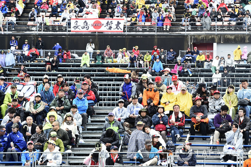 Crowds