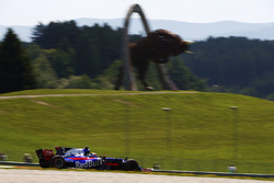 Carlos Sainz Jr., Scuderia Toro Rosso STR12