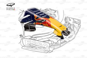 Red Bull RB13 nose