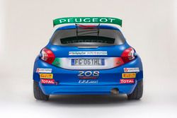 Peugeot 208 T16 di Paolo Andreucci e Anna Andreussi