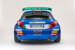 Peugeot 208 T16 di Paolo Andreucci e Anna Andreussi