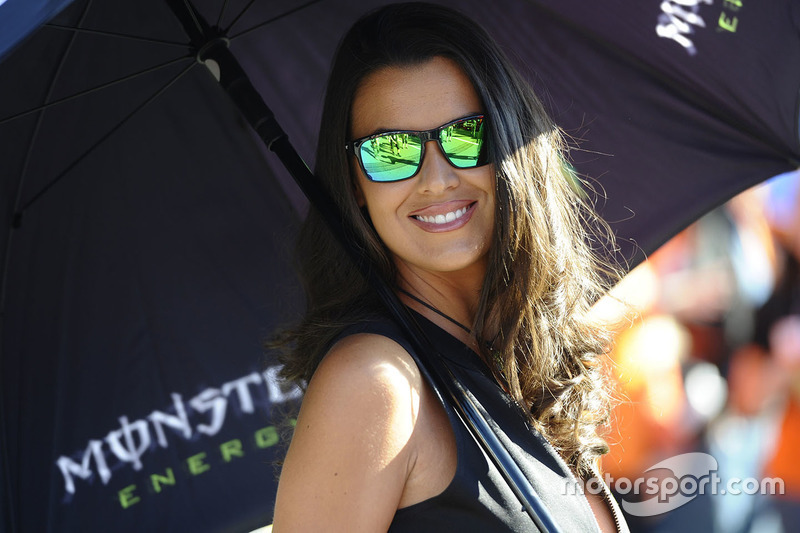 Lovely Monster Energy girl
