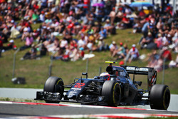Jenson Button, McLaren MP4-31