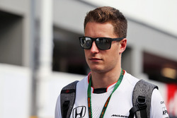 Stoffel Vandoorne, McLaren Test- und Reservefahrer
