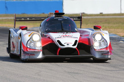 #60 Michael Shank Racing with Curb/Agajanian Ligier JS P2 Honda: John Pew, Oswaldo Negri, Olivier Pl