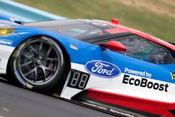 #67 Ford Performance Chip Ganassi Racing Ford GT: Ryan Briscoe, Richard Westbrook