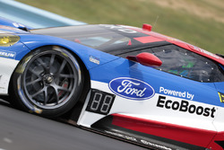 #67 Ford Performance Chip Ganassi Racing Ford GT: Ryan Briscoe, Richard Westbrook