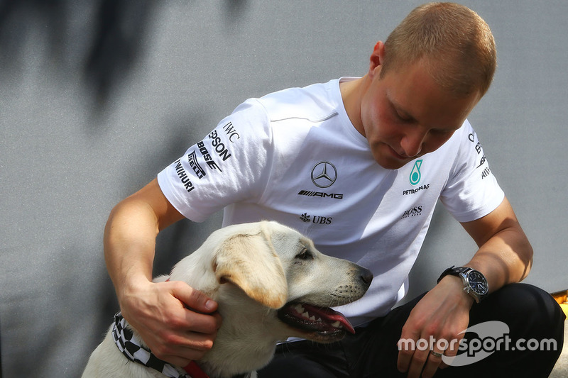 Valtteri Bottas, Mercedes AMG F1, mit Hund