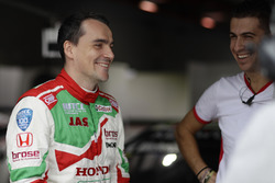 Norbert Michelisz, Honda Racing Team JAS, Honda Civic WTCC