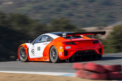 #43 RealTime Racing Acura NSX GT3: Ryan Eversley, Dane Cameron, Tom Dyer