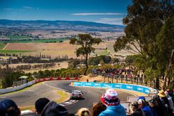  Craig Lowndes, Triple Eight Race Engineering Holden