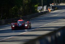 #23 Panis-Barthez Competition Ligier JS P217 Gibson: Fabien Barthez, Timothe Buret, Nathanael Berthon