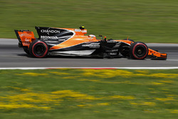 Стоффель Вандорн, McLaren MCL32