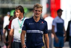 Marcus Ericsson, Sauber