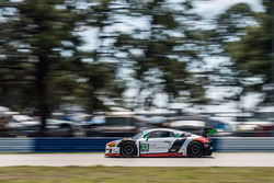 #23 Alex Job Racing Audi R8 LMS GT3: Bill Sweedler, Townswend Bell, Frankie Montecalvo