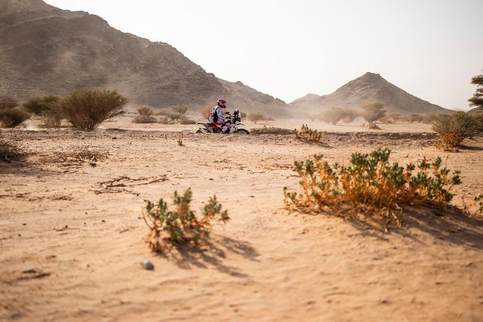 #89 Desert Storm Fantic: Ehab Al Hakeem