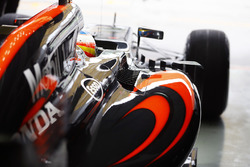 Фернандо Алонсо, McLaren MP4-31