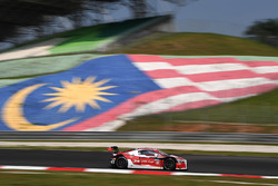 Aditya Patel, Team Audi R8 LMS Cup