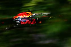 Max Verstappen, Red Bull Racing RB12