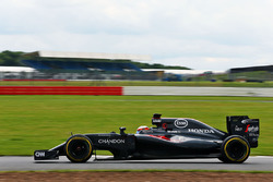 Stoffel Vandoorne, McLaren MP4-31, Testfahrer