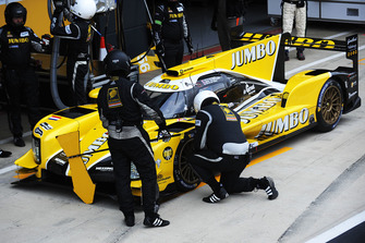 #29 Racing Team Nederland Dallara P217: Frits van Eerd, Giedo van der Garde, Nyck de Vries