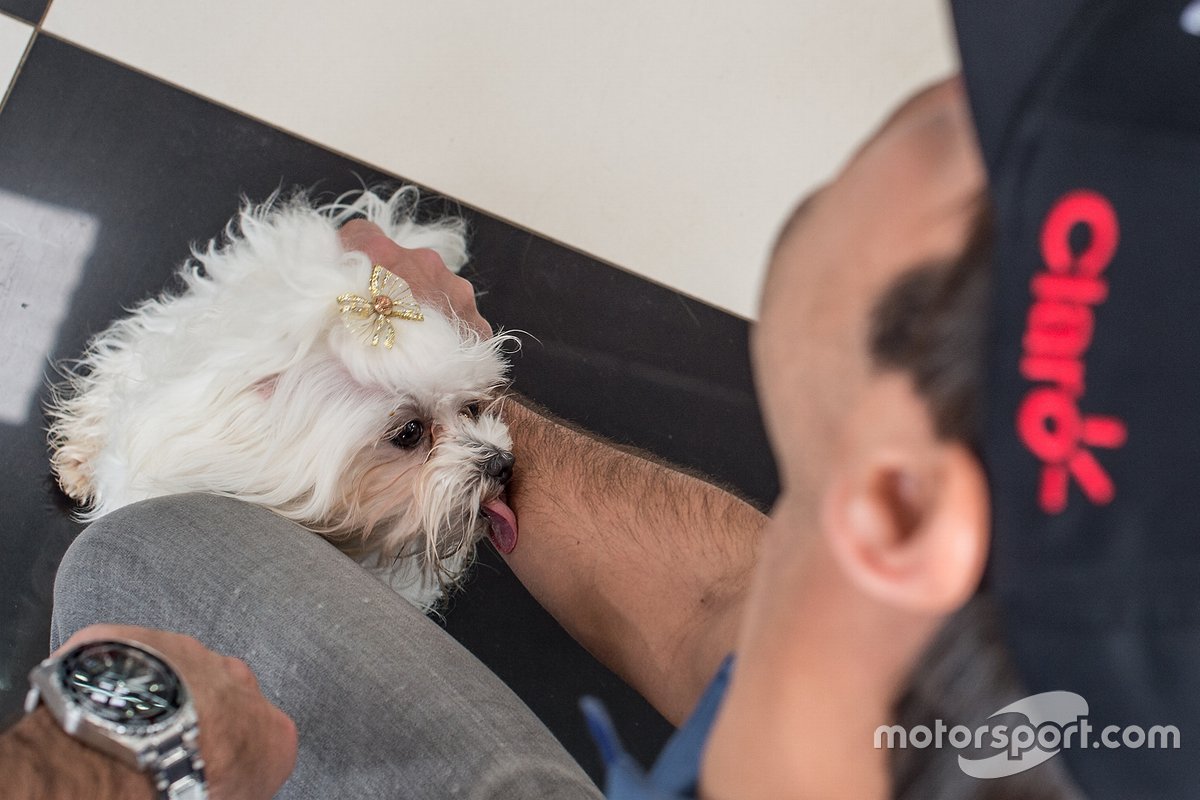 Nelsinho brincando com o pet do pai