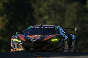 #86 Michael Shank Racing with Curb-Agajanian Acura NSX, GTD: Katherine Legge, Alvaro Parente, Trent Hindman