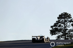 #31 Action Express Racing Cadillac DPi, P: Eric Curran, Felipe Nasr, Gabby Chaves