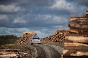 Thierry Neuville, Nicolas Gilsoul, Hyundai Motorsport Hyundai i20 Coupe WRC