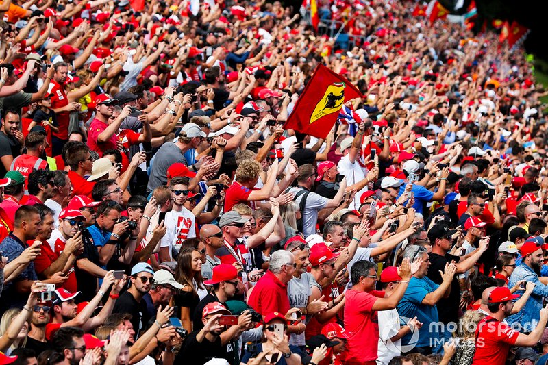 Tifosi