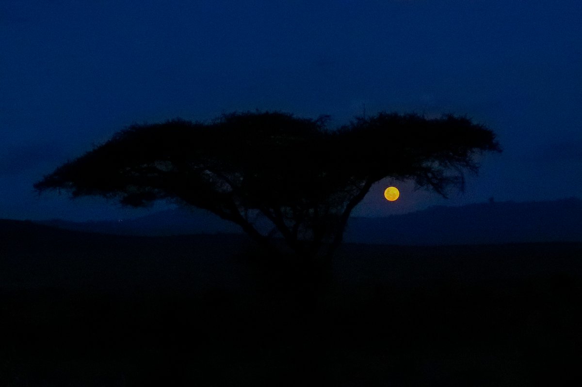 L'atmosphère au Kenya