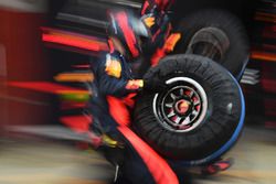 Red Bull Racing mechanic and Pirelli tyre