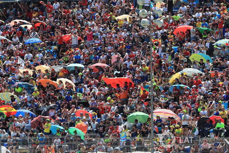 Crowd