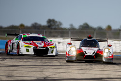 #60 Michael Shank Racing with Curb/Agajanian Ligier JS P2 Honda: John Pew, Oswaldo Negri, Olivier Pl