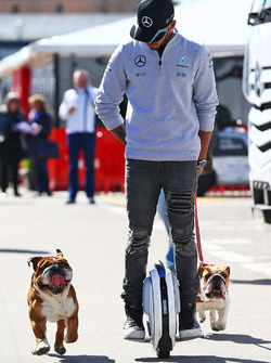 Lewis Hamilton, Mercedes AMG F1 sur un monocycle électrique dans le paddock avec ses chiens Roscoe et Coco