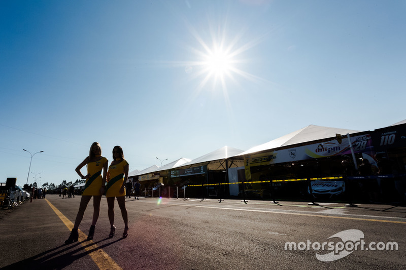 Grid girls