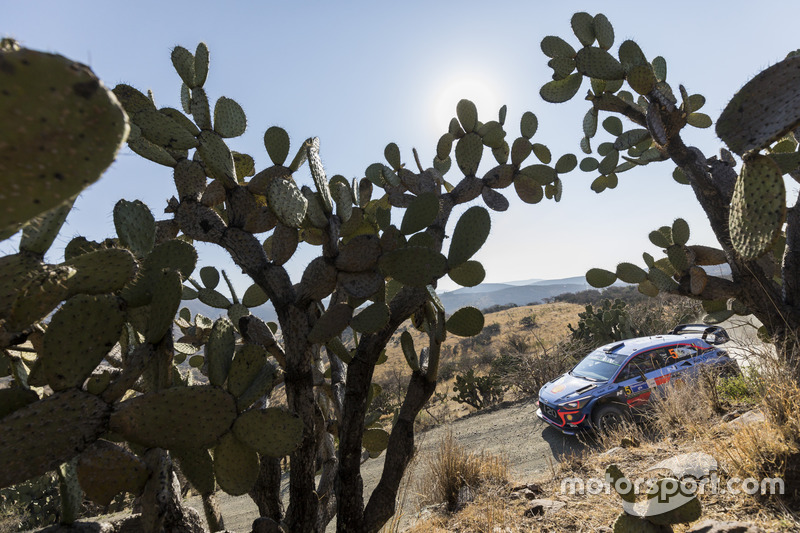 Thierry Neuville, Nicolas Gilsoul, Hyundai i20 WRC, Hyundai Motorsport