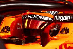 Stoffel Vandoorne, McLaren MCL33
