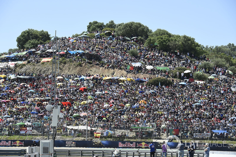 Crowds